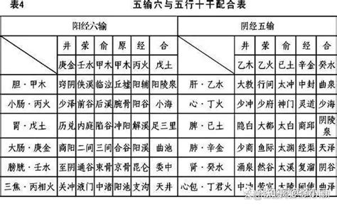 五俞穴口訣|五俞穴 — 井荥输经合（详细解说，非常重要）